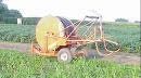 irrigation